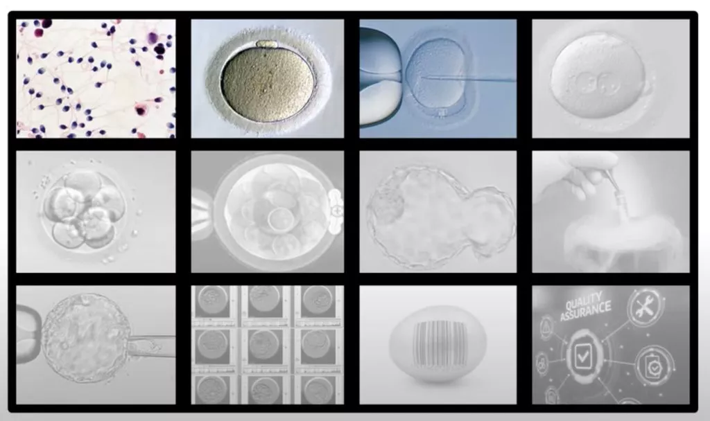 Webinar: Artificial Intelligence in the ART Laboratory