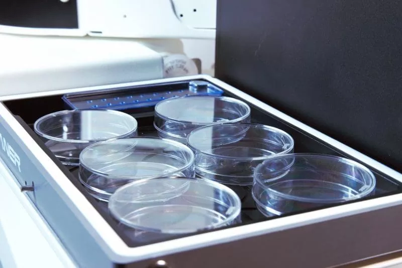 Multi chamber benchtop incubator