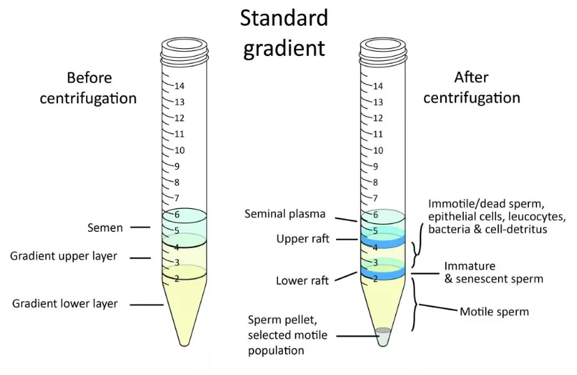 Tips & Tricks February 2020 – Can I prepare my gradient in advance?