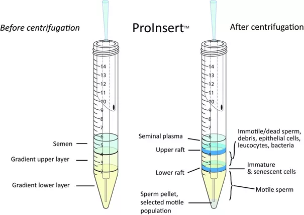 Using ProInsert for viscous samples