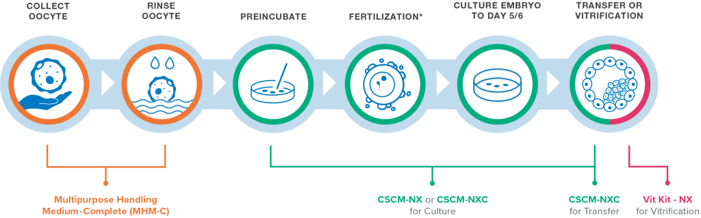 Day 0 with CSCM-NXC workflow
