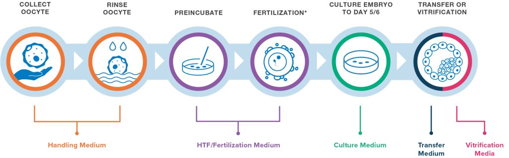 Traditional method workflow